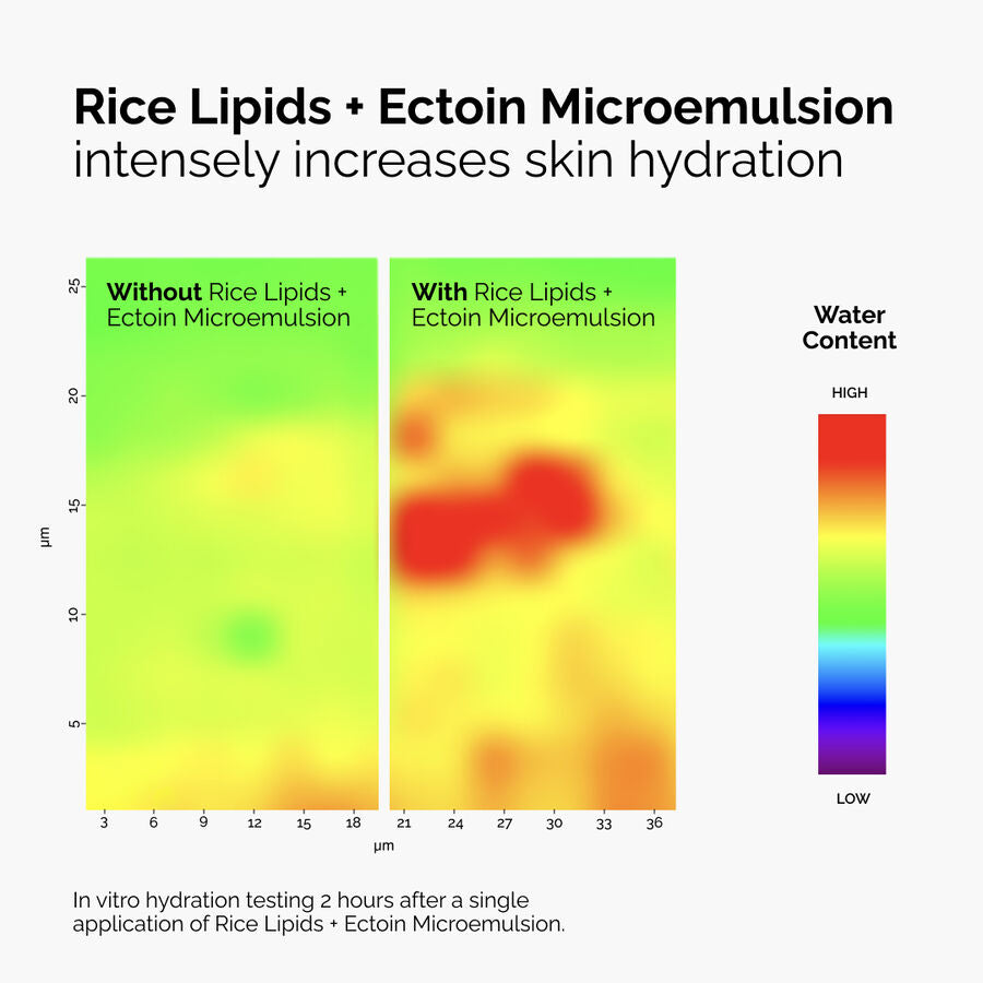 The Ordinary Rice Lipids + Ectoin Microemulsion Moisturizer for look of redness | 60ml/120ml, morning & evening use